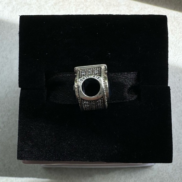 Pandora Pave Charm - Picture 4 of 4